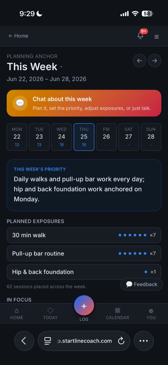 The week's plan